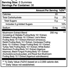 HIVE-MIND - Mushroom Extract Complex