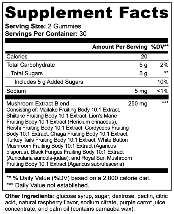 HIVE-MIND - Mushroom Extract Complex